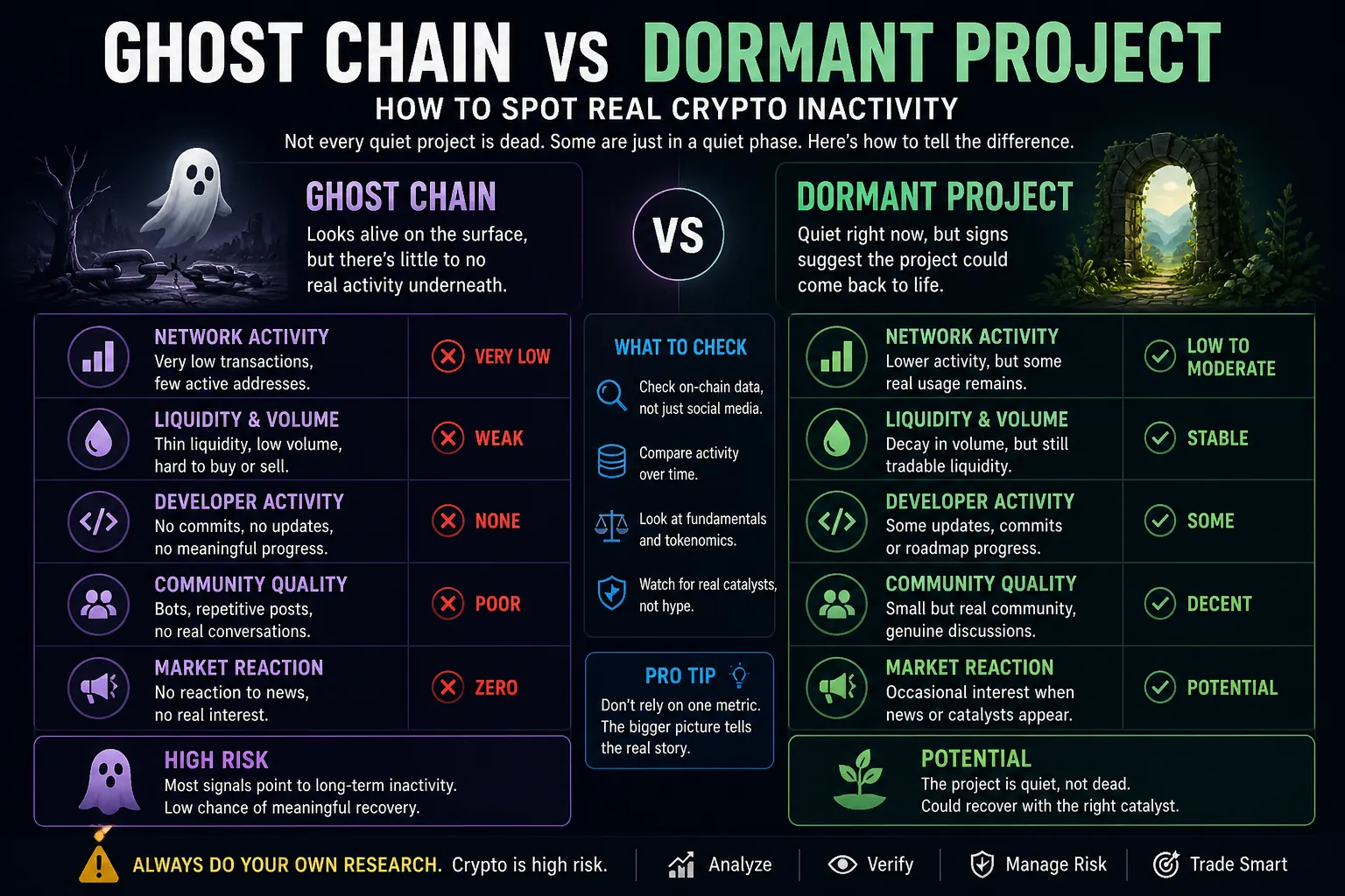 Comparison of ghost chains and dormant crypto projects highlighting inactivity and potential for future growth.