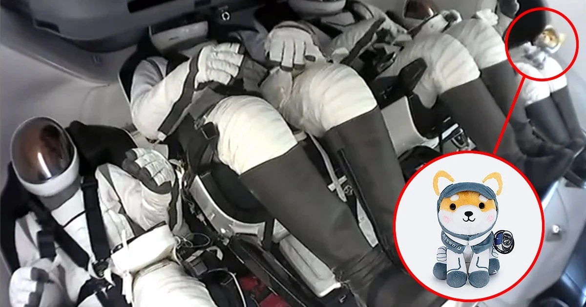 Asteroid plush story image tied to the Polaris Dawn mission narrative behind the token rally