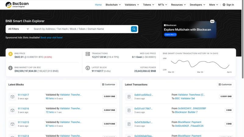 BscScan screenshot for blockchain explorer article