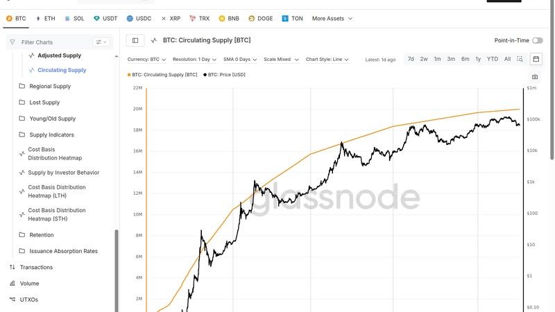 Glassnode supply chart screenshot for on-chain analytics guide