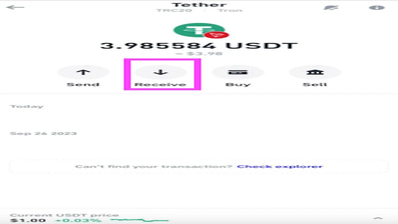 Trust Wallet asset view with the Receive action highlighted