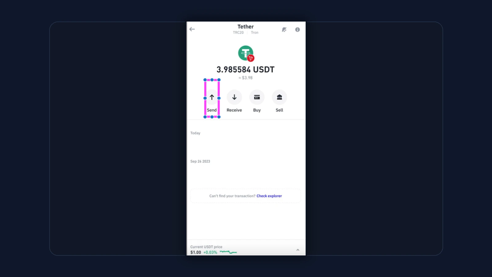 Trust Wallet send flow for a token transfer where address and route details must be checked carefully