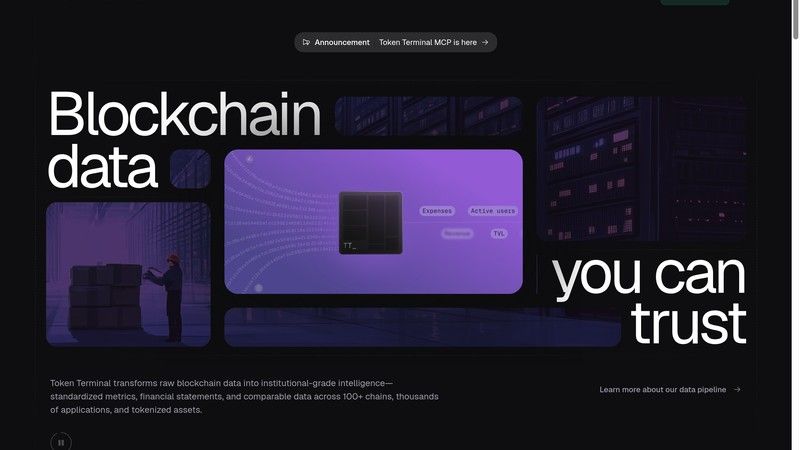 Token Terminal screenshot for on-chain analytics guide