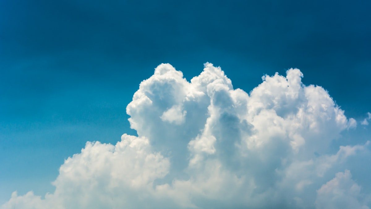 Nansen screenshot for whale tracking article