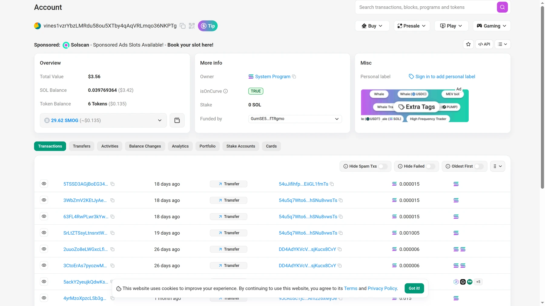 Solscan account overview showing a Solana address with balances and transactions