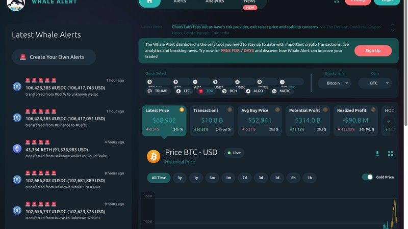 Whale Alert screenshot for whale tracking comparison