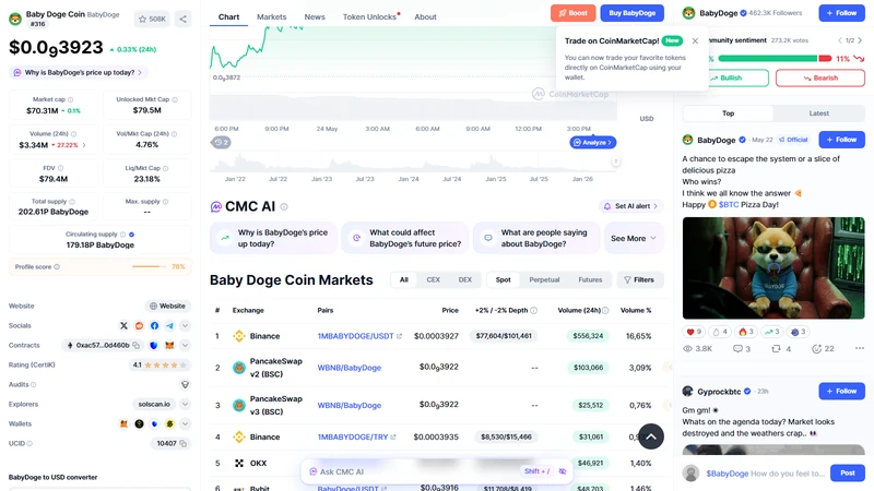 BabyDoge vs Shiba Inu vs Dogecoin vs FLOKI comparison chart showing chain tokenomics and market positioning