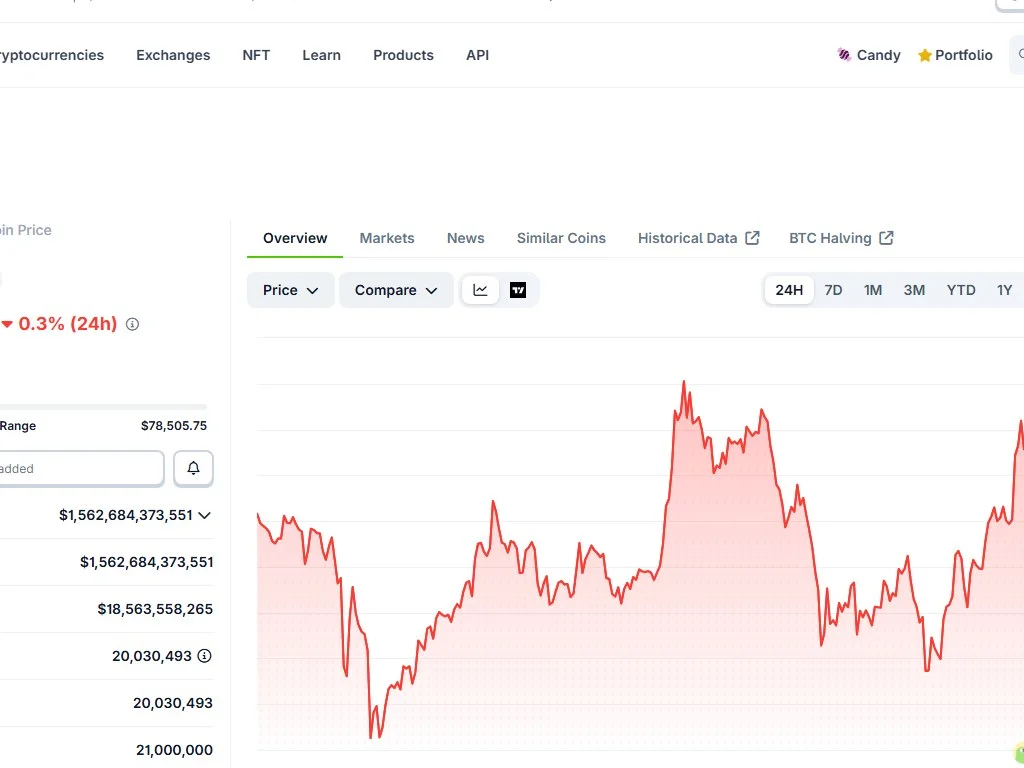 Bitcoin BTC price chart on DEXTools showing historical price action from inception to 2026 with key milestones marked